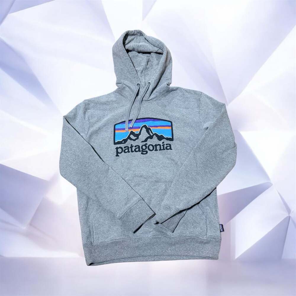 Patagonia Fitz Roy Horizons Uprisal Hoody Size S Gray (118)